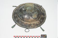 Foto von Bronzebreitrandfußschale (NHMW-PRAE-025213)